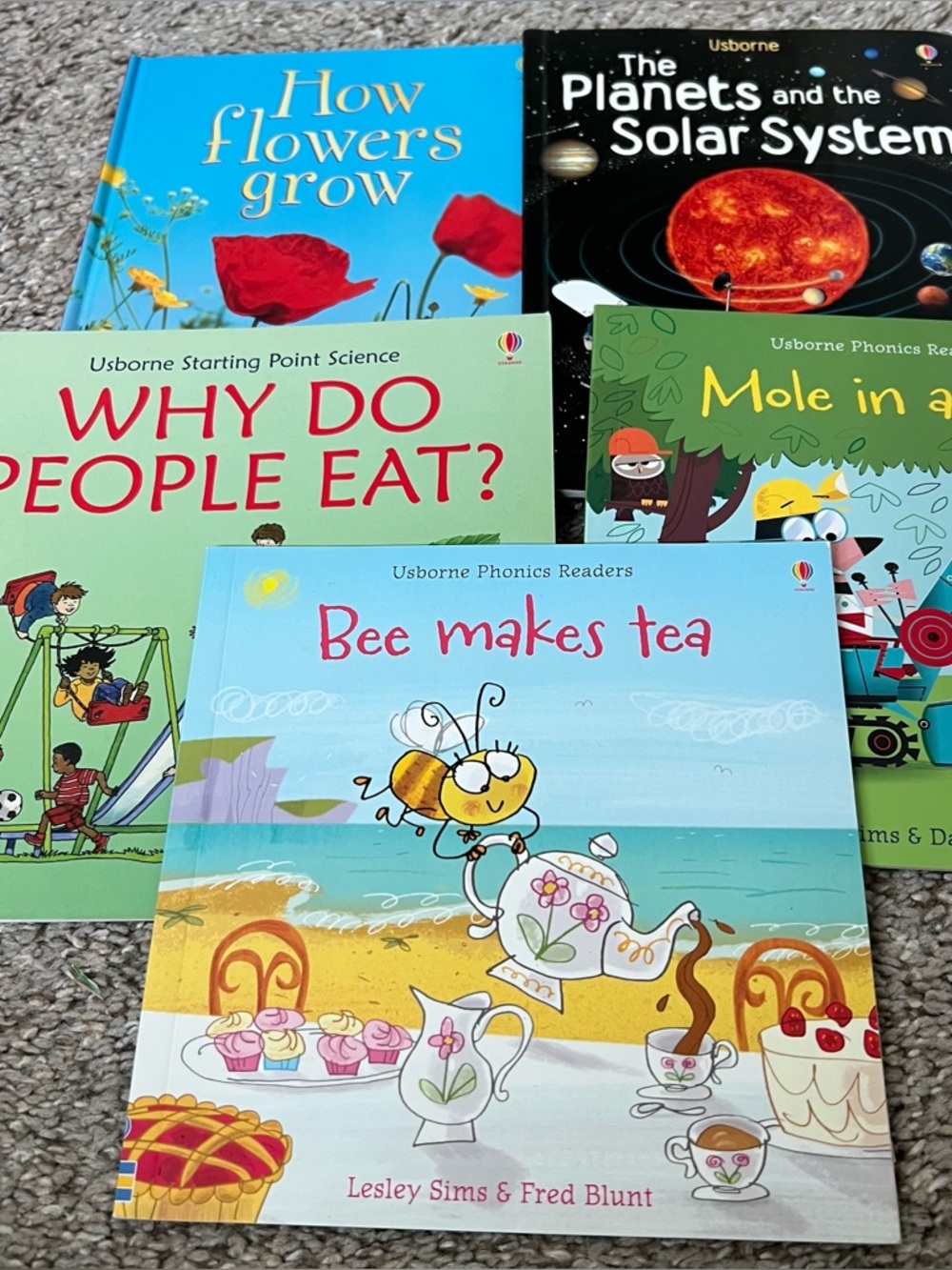 Usborne Children's Picture Book Bundle